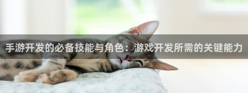 恩佐娱乐平台正规吗可靠吗