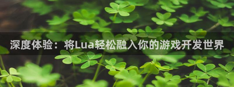 恩佐娱乐注册：深度体验：将Lua轻松融入你的游戏开发世界