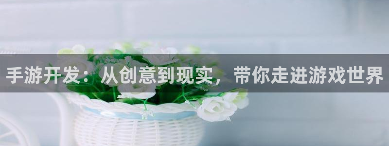 恩佐娱乐注册：手游开发：从创意到现实，带你走进游戏世界