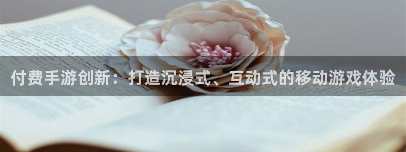 恩佐娱乐平台正规吗可靠吗：付费手游创新：打造沉浸式、互动式的