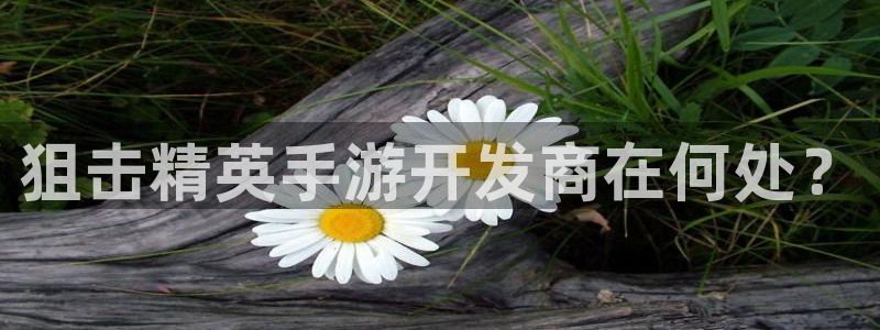 恩佐娱乐平台正规吗可靠吗：狙击精英手游开发商在何处？