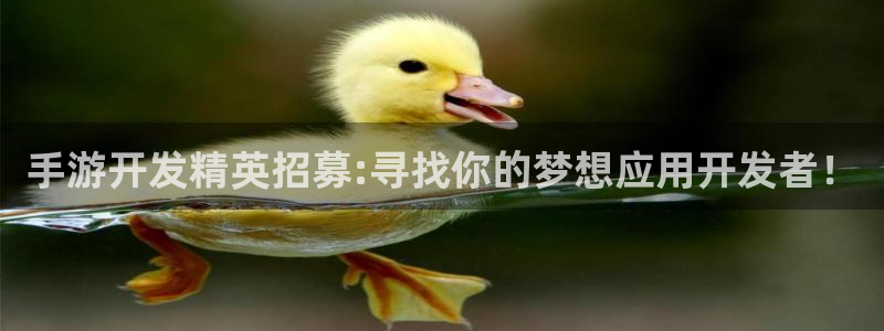 恩佐娱乐1：手游开发精英招募:寻找你的梦想应用开发者！