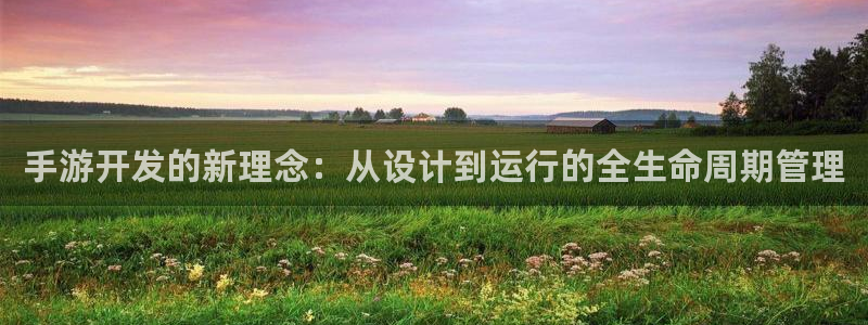 恩佐娱乐注册：手游开发的新理念：从设计到运行的全生命周期管理