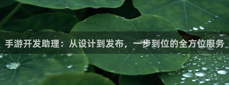 恩佐娱乐手机登录：手游开发助理：从设计到发布，一步到位的全方