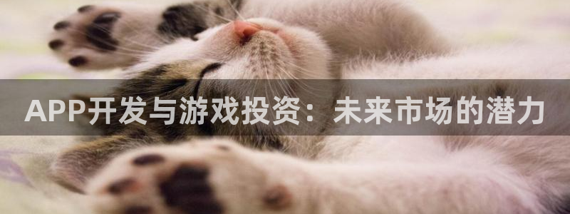 恩佐娱乐平台正规吗安全吗：APP开发与游戏投资：未来市场的潜