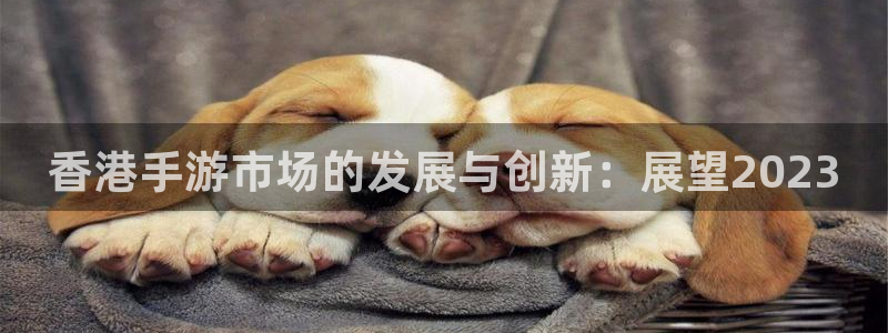 恩佐娱乐手机版最新功能介绍视频：香港手游市场的发展与创新：展