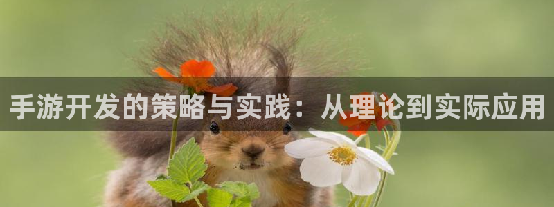 恩佐娱乐手机版最新功能介绍视频：手游开发的策略与实践：从理论