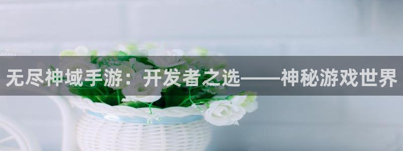 恩佐娱乐手机版最新功能介绍大全