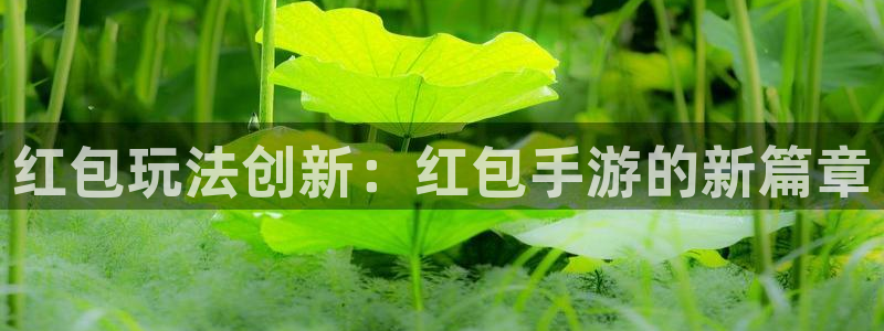 恩佐娱乐注册：红包玩法创新：红包手游的新篇章