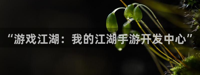 恩佐娱乐登陆：“游戏江湖：我的江湖手游开发中心”
