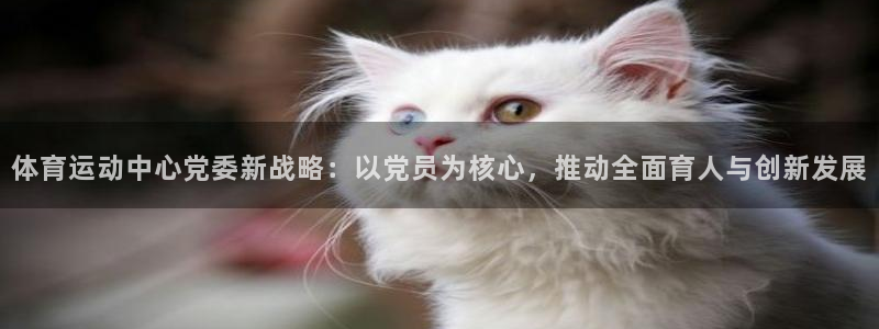哈哈体育十年