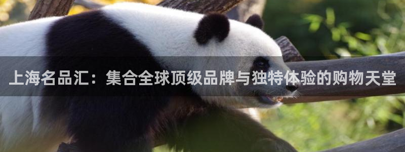 哈哈体育