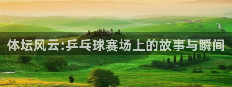 哈哈体育十年