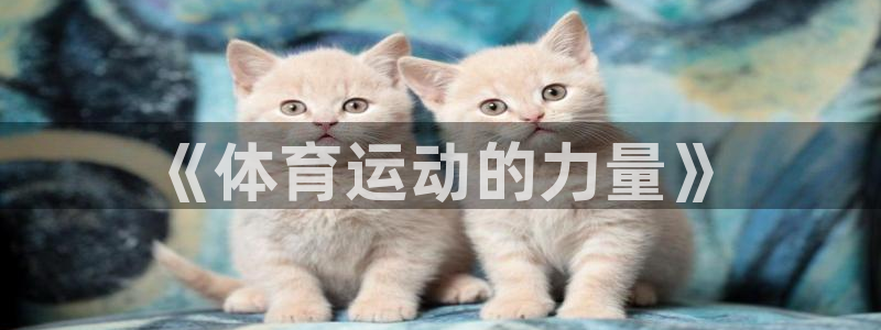 哈哈体育十年