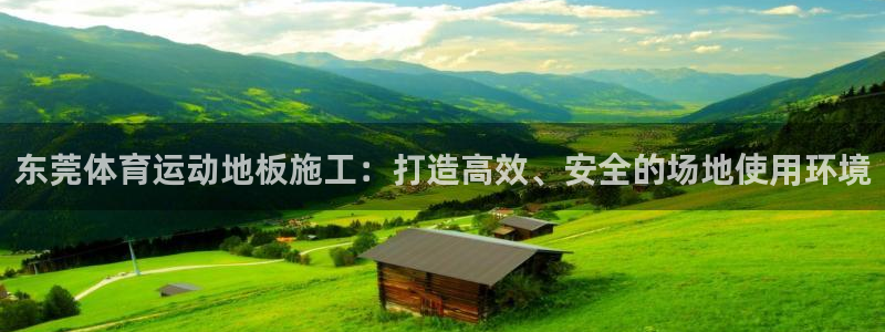哈哈体育十年