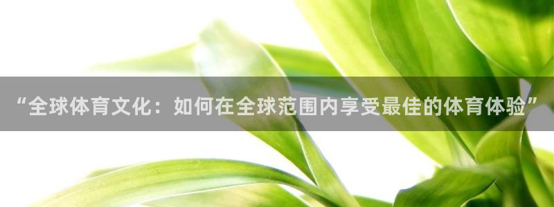 哈哈体育