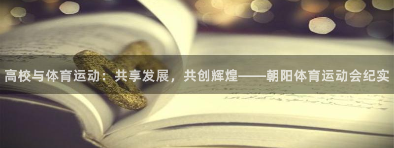 哈哈体育十年